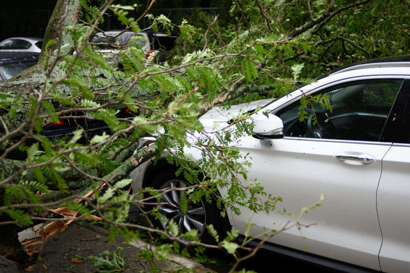 To najvýhodnejšie a najrýchlejšie PZP na trhu