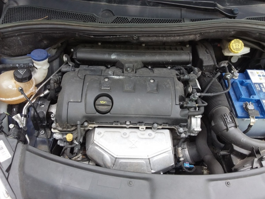 max-CK55039_17dc37e143e8e153867e4f6101b0e039