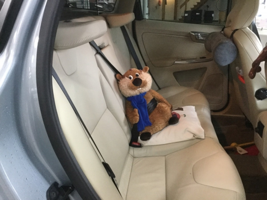 max-AE30420_e072c1f01bd65f4878aeee3467e58e58